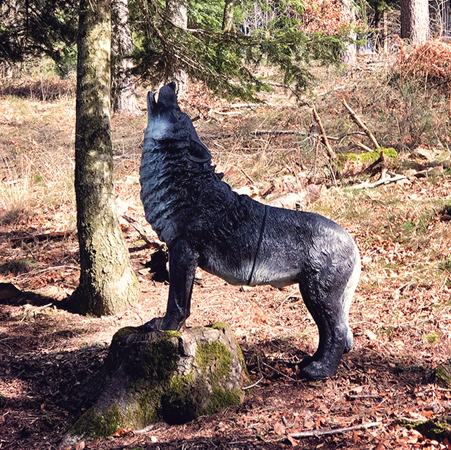 wolf heulend bogenparcours